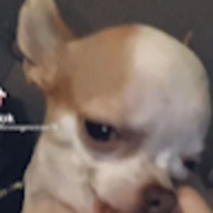 Meet your Posher, Zach